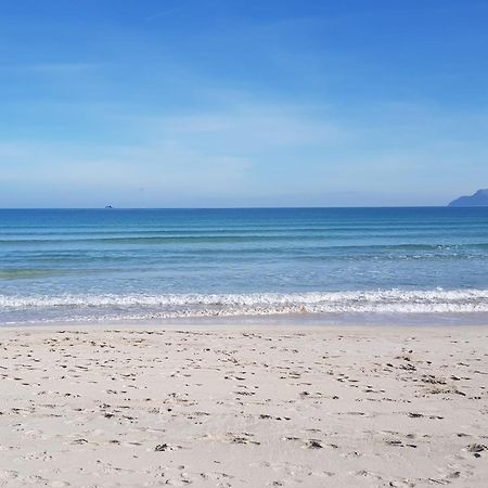 פורט ד'אלקודיה Ideal Property Mallorca - Playasol מראה חיצוני תמונה
