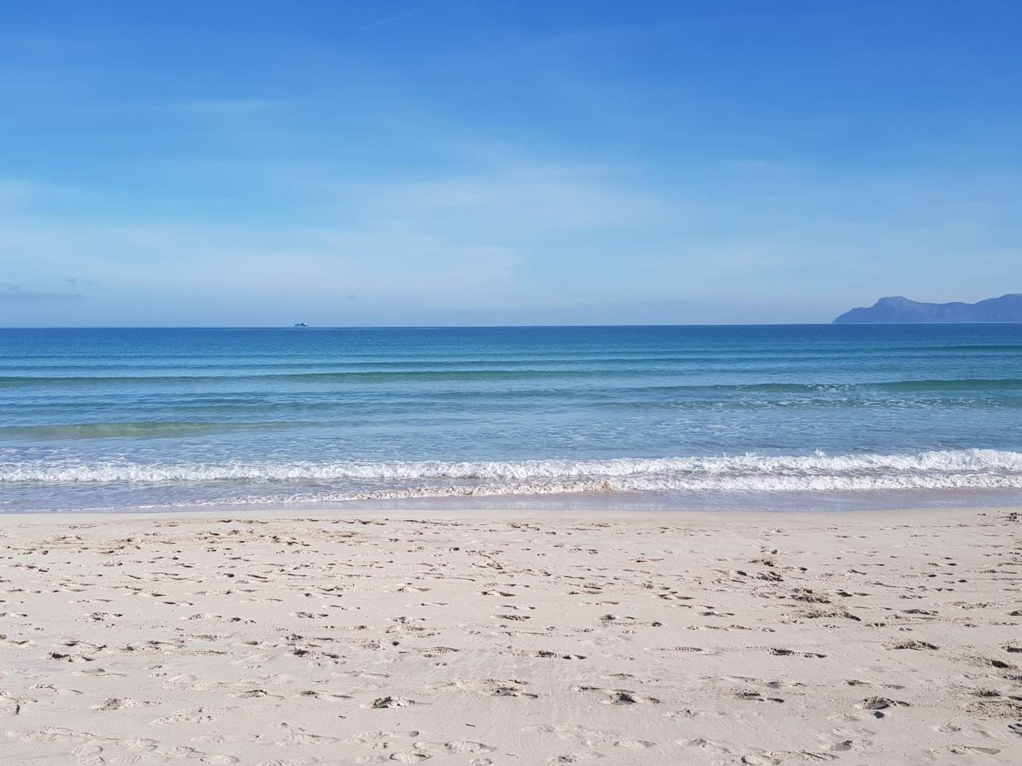 פורט ד'אלקודיה Ideal Property Mallorca - Playasol מראה חיצוני תמונה