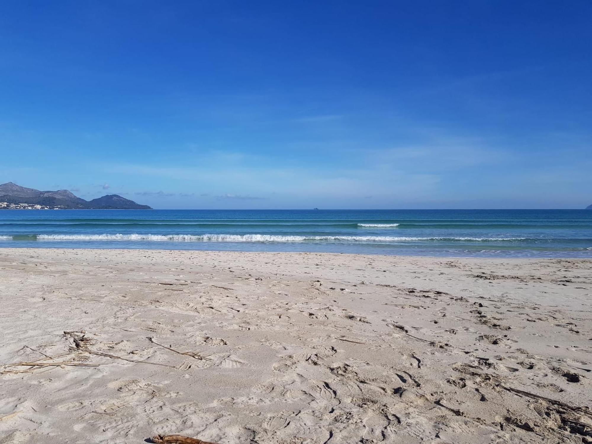 פורט ד'אלקודיה Ideal Property Mallorca - Playasol מראה חיצוני תמונה